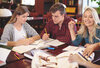 Handelsdiplom VSH Business Dipl. Kauffrau/-mann VSH Business