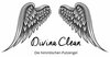Divina Clean - Die himmlischen Putzengel